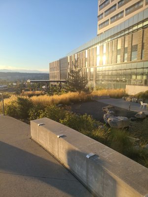 ST MICHAEL MEDICAL CENTER - Updated February 2026 - 25 Photos & 104 ...