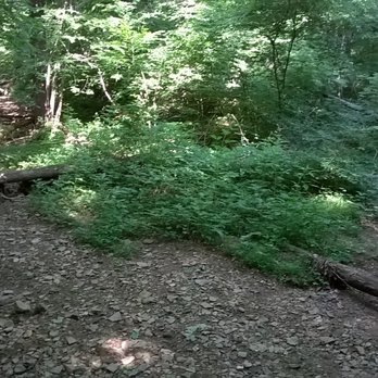 Yellowwood State Forest - fortunately, the creek was dry enough to cross during my visit - Parks Near Me - Nashville, Indiana Yellowwood State Forest - fortunately, the creek was dry enough to cross during my visit - Parks Near Me - Nashville, Indiana