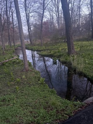 Foxstone Park by null