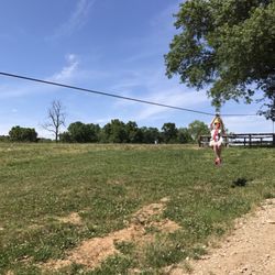 ShowMe Ziplines - The Goodwill team had a great time zip lining!