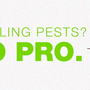 Photo of Virge Pest Pro