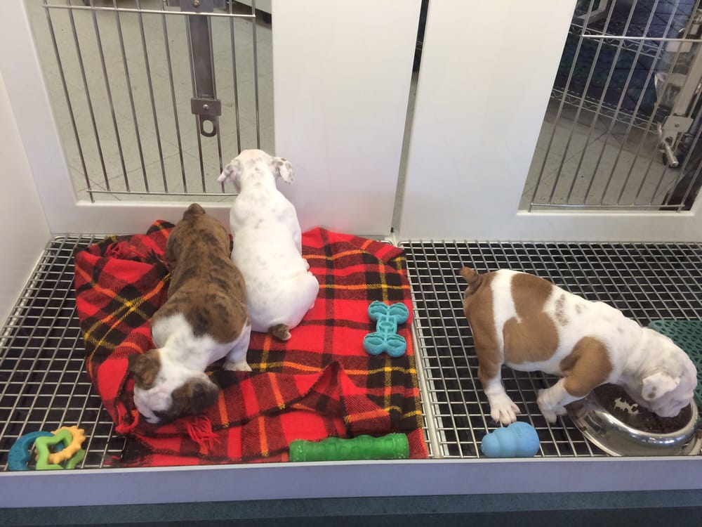 PETLAND CLOSED Updated June 2024 13 Photos & 30 Reviews 2123