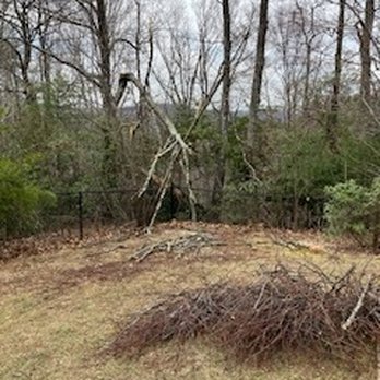Paul Davis Property Restoration Experts - All the limbs in the yard were removed before the estimate. - Damage Restoration Near Me - Winston-Salem, North Carolina Paul Davis Property Restoration Experts - All the limbs in the yard were removed before the estimate. - Damage Restoration Near Me - Winston-Salem, North Carolina