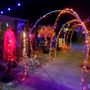 Photo of Morgan Hill Haunt