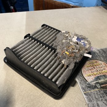 Mike's Auto Repair - A mouse nest in my car part! - Auto Repair Near Me - Saint Paul, Minnesota Mike's Auto Repair - A mouse nest in my car part! - Auto Repair Near Me - Saint Paul, Minnesota