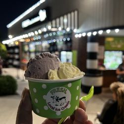 Fresh Local Ice Cream