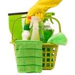 Master Cleaners