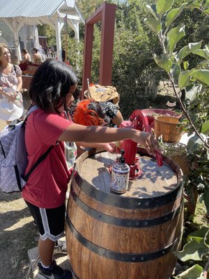 Willowbrook Apple Farm by null
