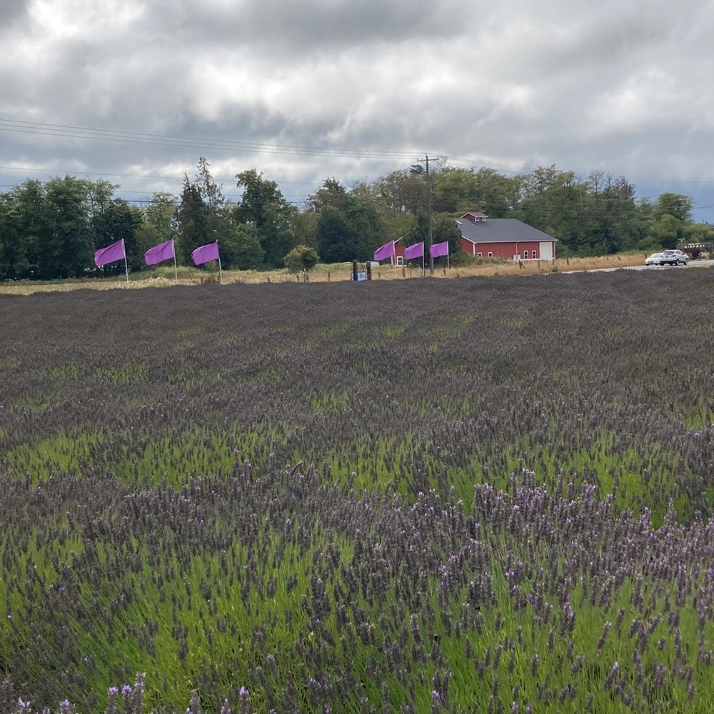 B & B Family Farm - Walking Tours Near Me - Sequim, Washington B & B Family Farm - Walking Tours Near Me - Sequim, Washington