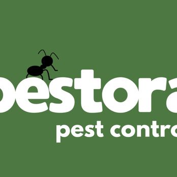 Pestora - Pest Control Near Me Pestora - Pest Control Near Me