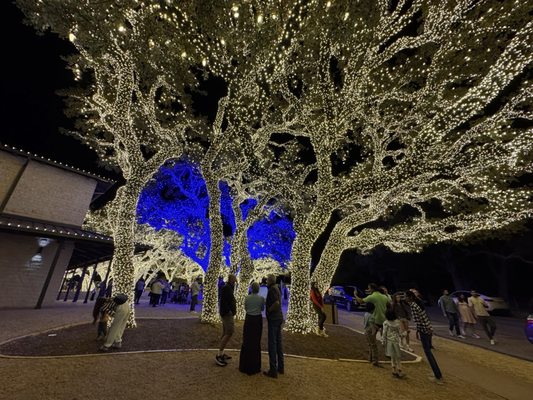 Pedernales Electric Cooperative