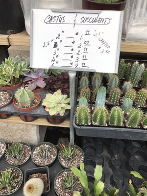 Jrn Nursery 2 11701 Alief Clodine Rd Houston Tx Nurseries Mapquest Jrn Nursery 2 11701 Alief Clodine Rd