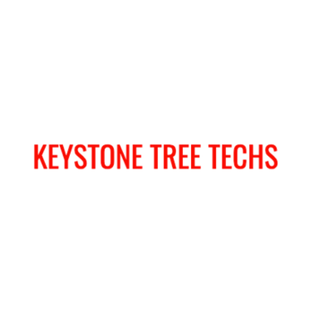Keystone Tree Techs - Tree Services Near Me - Rochester, Pennsylvania