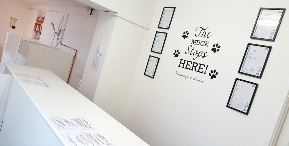 GROOMING MARVELLOUS 49 Faringdon Road, St Judes, Plymouth, United