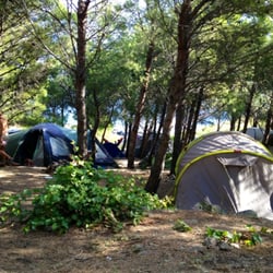 Camping Municipal De Cerbere - Un camping familial, calme et très ombragé
