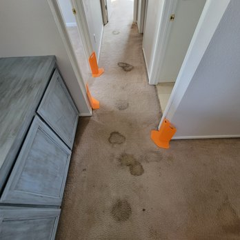 Synergy Carpet Cleaning - Carpet Cleaning Near Me Synergy Carpet Cleaning - Carpet Cleaning Near Me