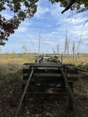 Bay City State Park by null