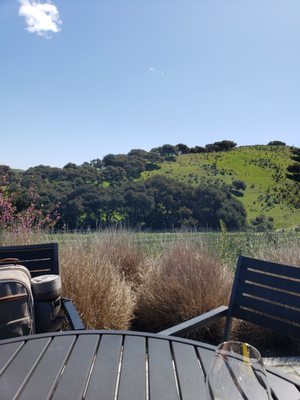 Spear Vineyards and Winery by null