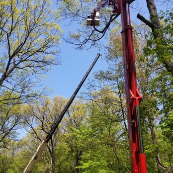 Expert Tree Service - Tree Services Near Me - Rochester, New York Expert Tree Service - Tree Services Near Me - Rochester, New York