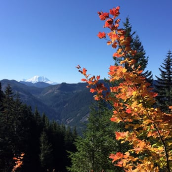 Bandera Mountain - Mt. Rainier saying hi. - Hiking Near Me - Bandera Mountain, Washington