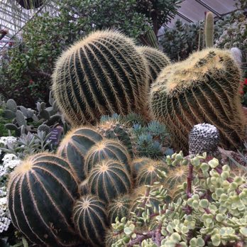 Allan Gardens - Cacti and succulents ❤️ - Parks Near Me - Toronto, Ontario Allan Gardens - Cacti and succulents ❤️ - Parks Near Me - Toronto, Ontario
