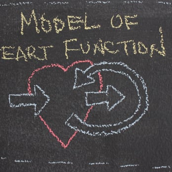 San Francisco Hypnotherapy - Andrew's Model of heart function, from HeartBreak Therapy: as a transceiver, the heart flows love in, out, and back to itself. - Hypnosis/Hypnotherapy Near Me San Francisco Hypnotherapy - Andrew's Model of heart function, from HeartBreak Therapy: as a transceiver, the heart flows love in, out, and back to itself. - Hypnosis/Hypnotherapy Near Me