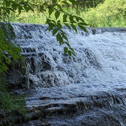Thistlewaite Falls