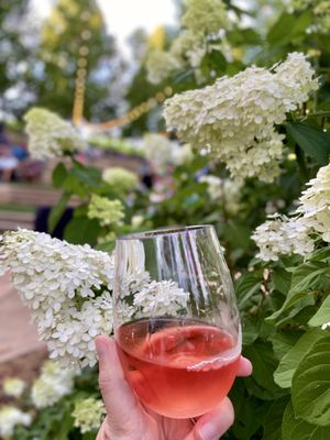 Starfield Vineyards & Winery by null