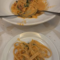 Alina's Ristorante - Fettuccine al fredo