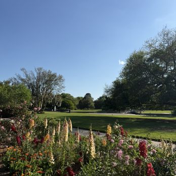 Hampton Park - Parks Near Me - Charleston, South Carolina