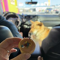 Mini donuts