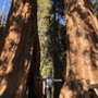 Photo of California State