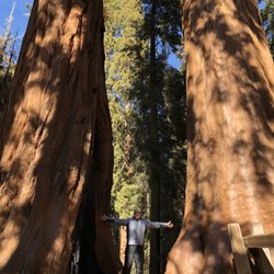 California State