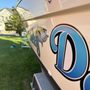 NRL Mobile Detailing