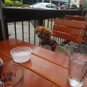 Colter Bay - Dog friendly patio! - American Near Me - Buffalo, New York
