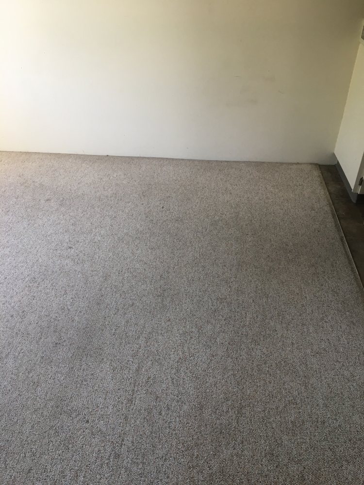 VICTORIA CARPET CARE Updated July 2024 763 Cecil Blogg Drive, Victoria, British Columbia