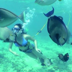 SNUBA Tours of Kauai