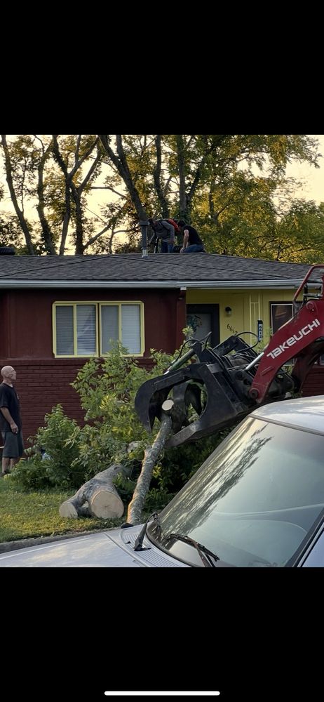 Michael The Tree Cutter Service - tree service in Birmingham, AL
