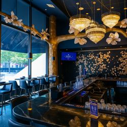 Estella Patriot Place - Bar area