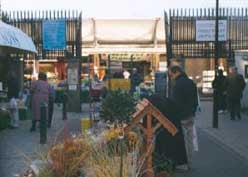 Brighton City Open Market by null