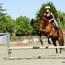 The Pony Express - Shay and peanut jumping