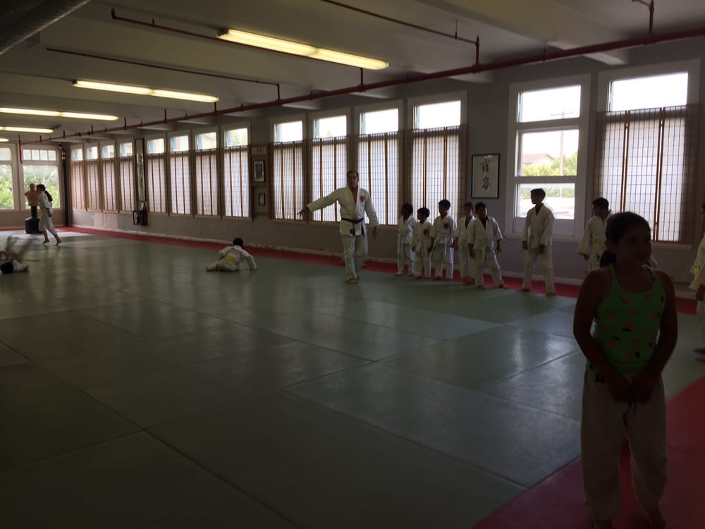 Nikko Jujitsu School Logo