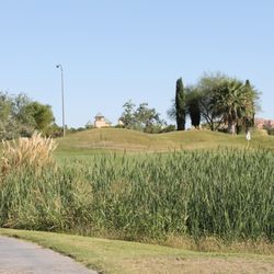Coyote Willows Golf Course - Hole #9 Green one the cattails!