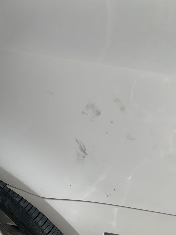 BIG DADDY’S TOWING & RECOVERY Updated June 2024 3101 Armory Rd