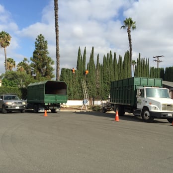 Great Green Tree Care - Topping in Orange County - Tree Services Near Me Great Green Tree Care - Topping in Orange County - Tree Services Near Me