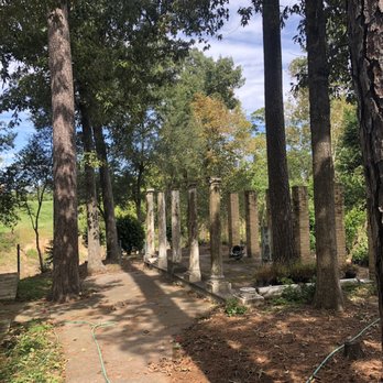 Rienzi - The back woods - Museums Near Me - Houston, Texas