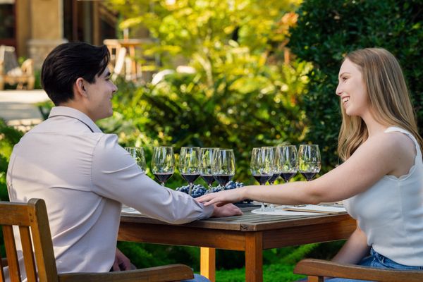 Harney Lane Vineyards by null