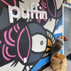 Puffin