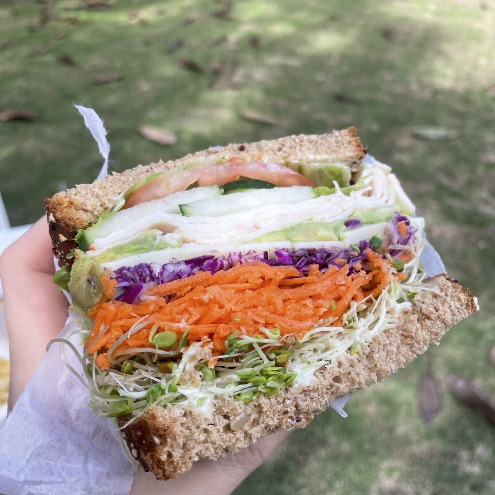 Turkey Avocado Sandwich Turkey Avocado Sandwich