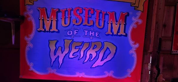 Museum of the Weird by null